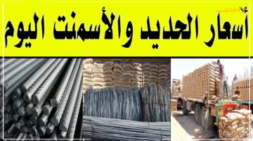 تطور جديد.. سعر طن حديد عز اليوم يخالف التوقعات مفاجأة في أسعار مواد البناء 1